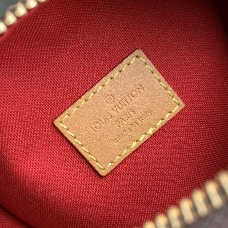 LV Speedy Bags